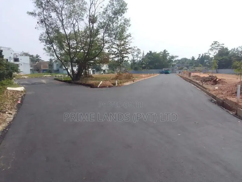 වත්තල පාදිලියාතුඩුව බිම්කොටස්