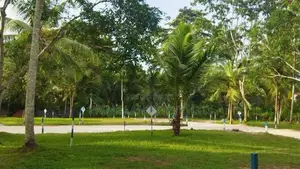 මිනුවන්ගොඩ දෙවොලපල බිම්කොටස්