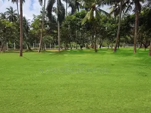 Mellawagedara Land Plots for Sale