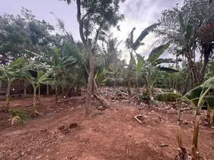 Land for Sale - Jaffna