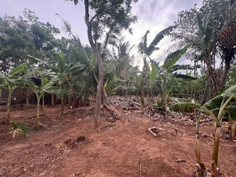 Land for Sale - Jaffna