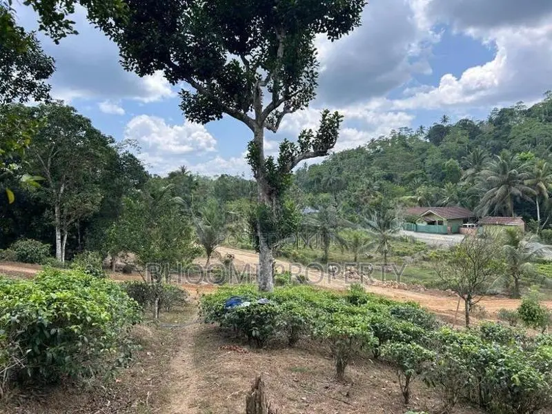 උඩුගම බස් පාරේ ජයන්ති හන්දිය අසලින් හොඳම තැන
