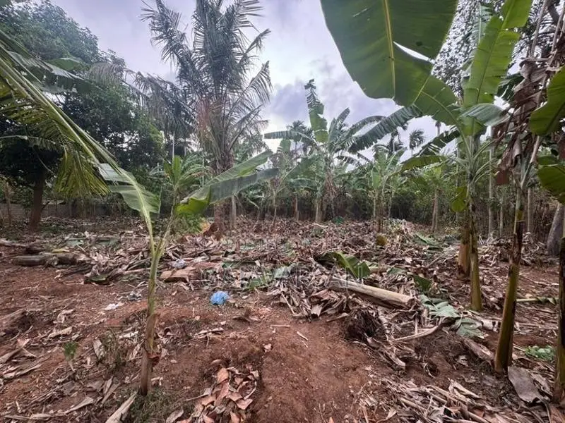 Land for Sale - Jaffna