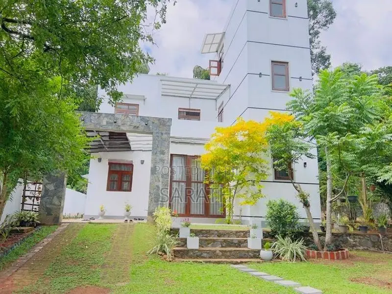 16 P With Luxury House For Sale