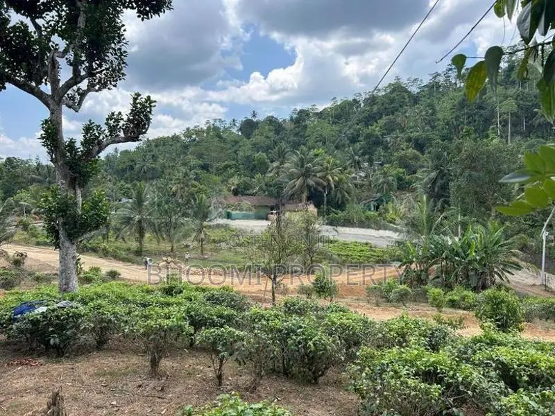 උඩුගම බස් පාරේ ජයන්ති හන්දිය අසලින් හොඳම තැන