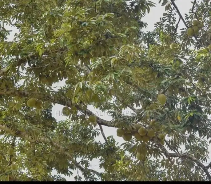 42 Perch Land with Half-Built House – Rambukkana