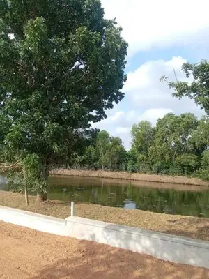 Land for Sale in Rajagiriya