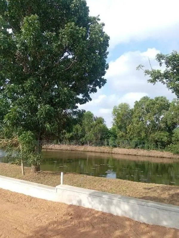 Land for Sale in Rajagiriya