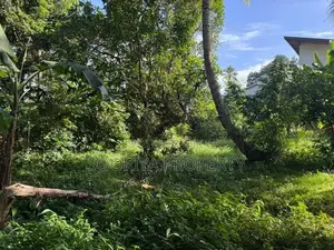 Commercial Land for Rent in Piliyandala Town