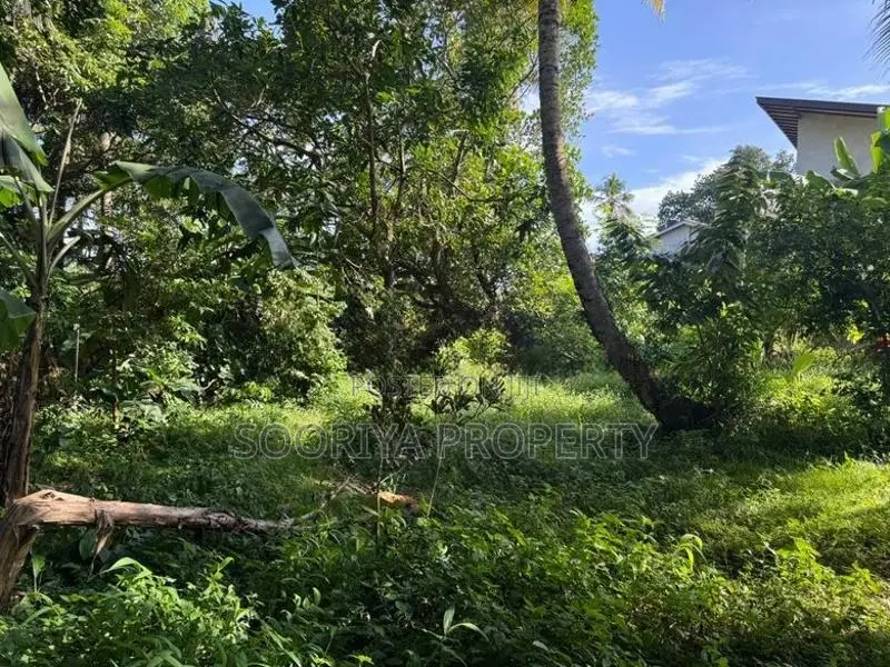 Commercial Land for Rent in Piliyandala Town