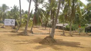 Residential Land for Sale in Rilawala Kahathuduwa