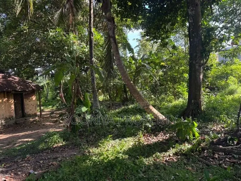 Commercial Land for Rent in Piliyandala Town