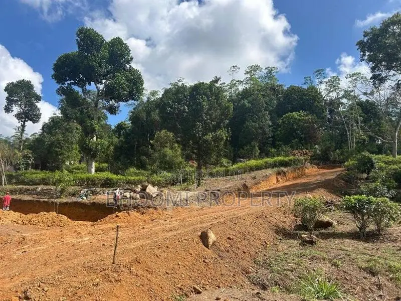 උඩුගම බස් පාරේ ජයන්ති හන්දිය අසලින් හොඳම තැන