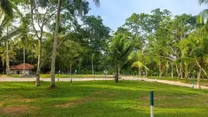 මිනුවන්ගොඩ දෙවොලපල බිම්කොටස්