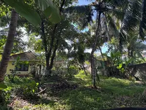Commercial Land for Rent in Piliyandala Town