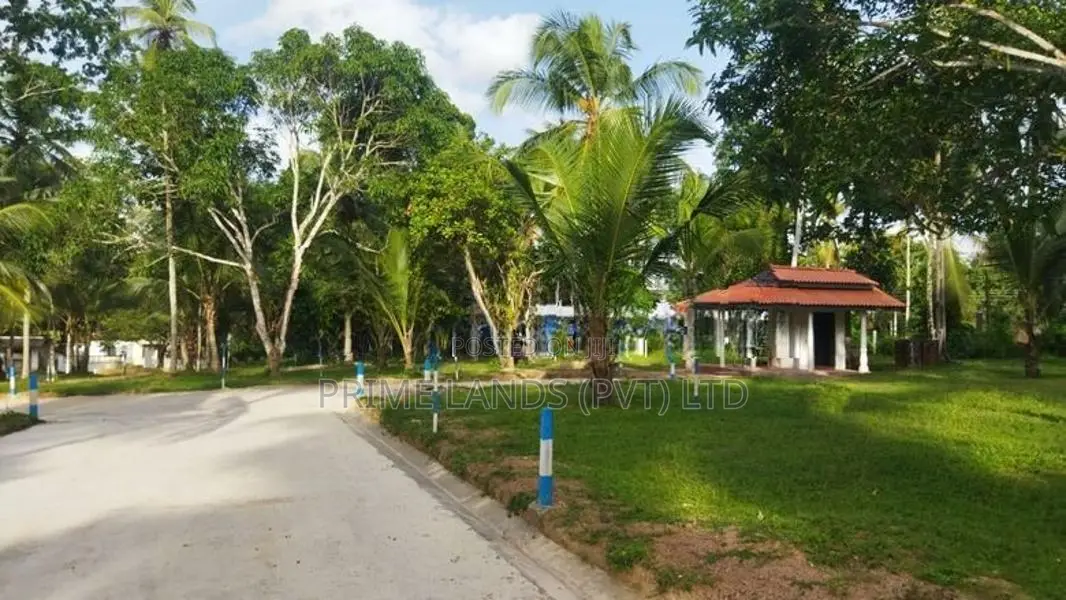 මිනුවන්ගොඩ දෙවොලපල බිම්කොටස්