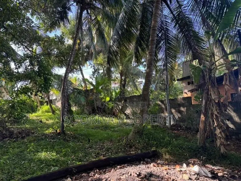 Commercial Land for Rent in Piliyandala Town