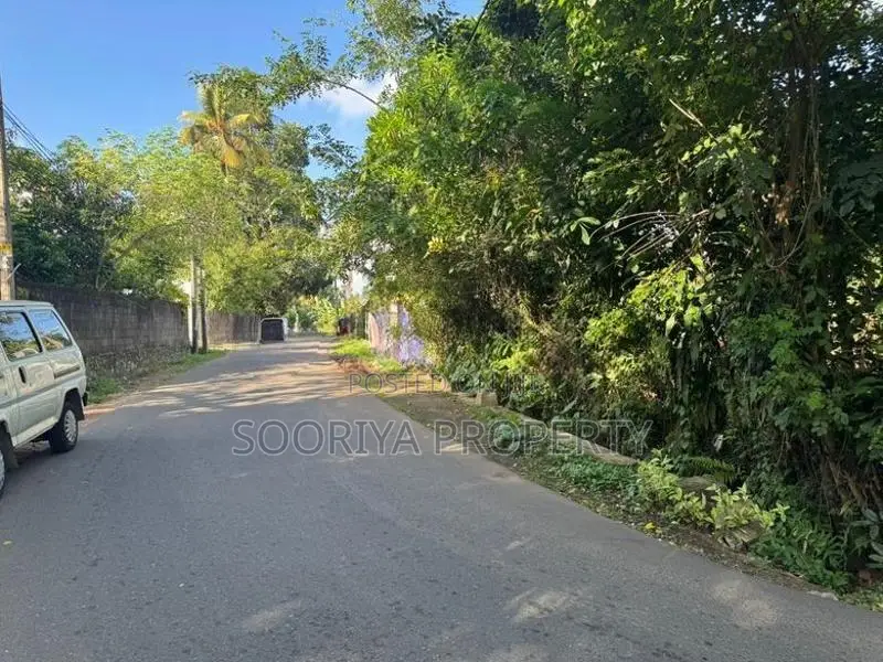 Commercial Land for Rent in Piliyandala Town
