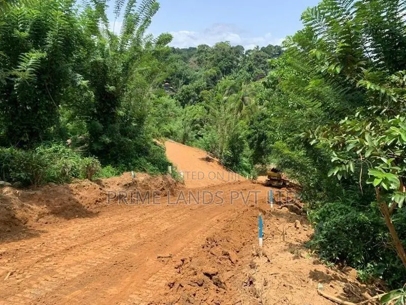 Land for Sale Pilimathalawa