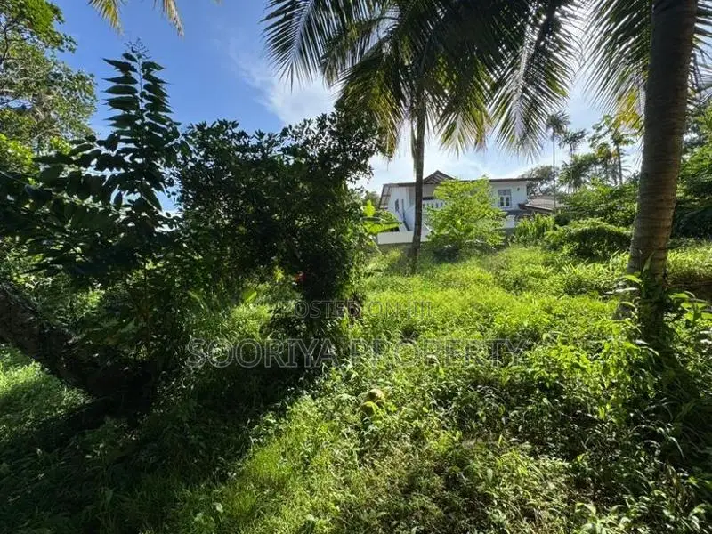 Commercial Land for Rent in Piliyandala Town