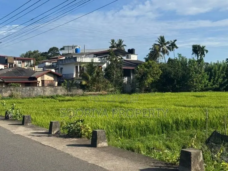 Commercial Land for Rent in Piliyandala Town