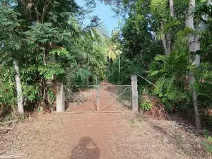 තිත්තකඩේ හලාවත අක්කර 2 විකිණීමට