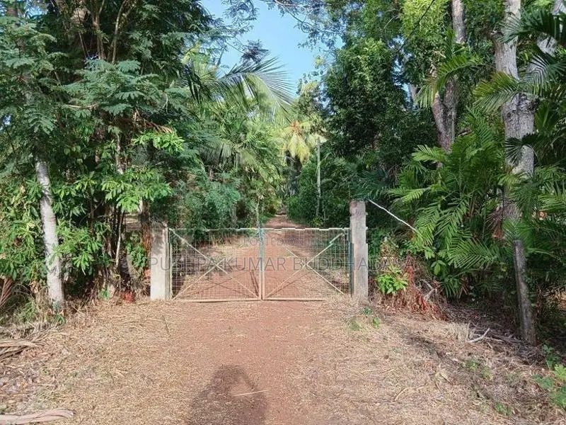 තිත්තකඩේ හලාවත අක්කර 2 විකිණීමට
