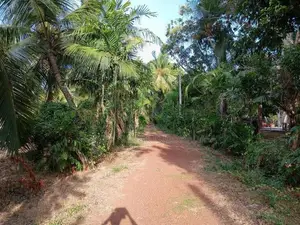 තිත්තකඩේ හලාවත අක්කර 2 විකිණීමට