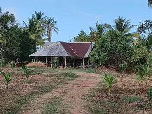 තිත්තකඩේ හලාවත අක්කර 2 විකිණීමට