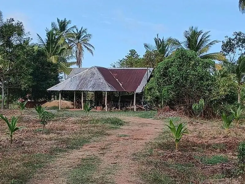 තිත්තකඩේ හලාවත අක්කර 2 විකිණීමට