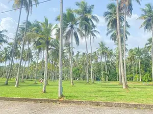 Land in Katunayaka