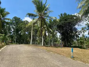Land In Minuwangoda