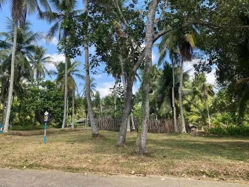Land In Minuwangoda
