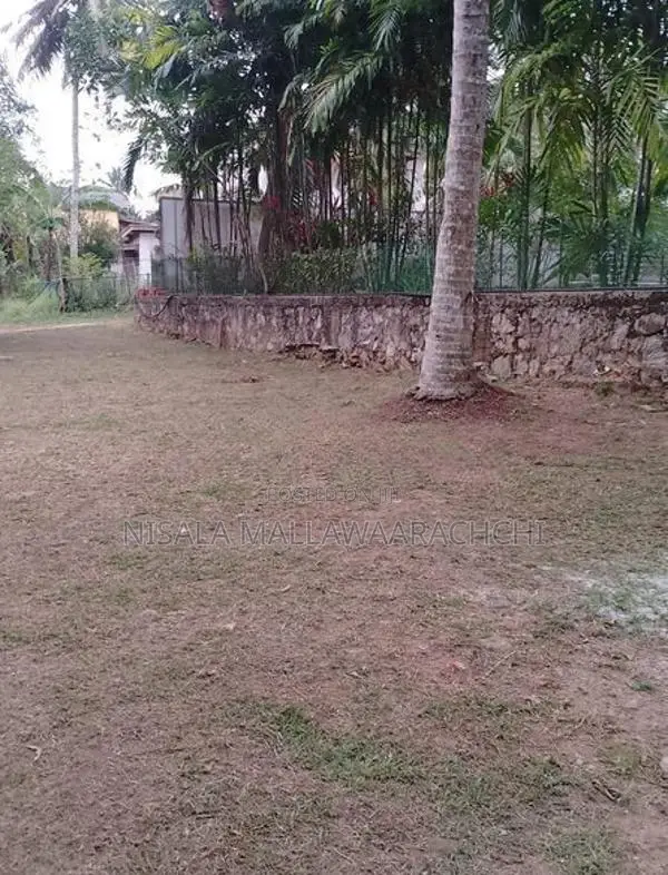 Valuable Land for Sale in Kottawa