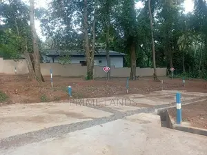 කඩවත නගරයෙන් වටිනා ඉඩමක් විකිනීමට