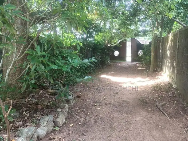 Land for Sale in Pannipitiya