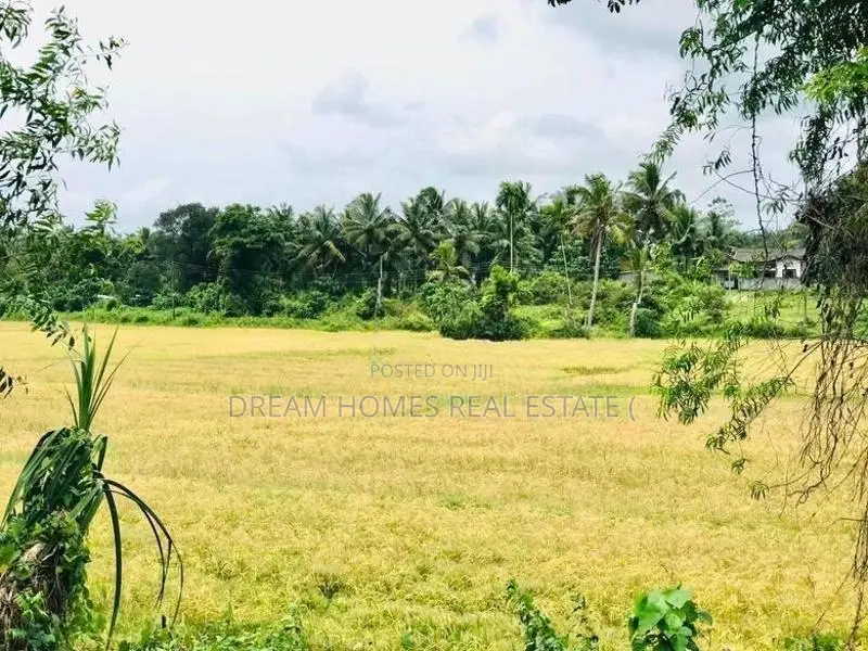 House for Sale in Halbarawa, Homagama Peaceful Residential