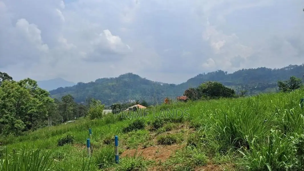 Land for Sale in Pussellawa