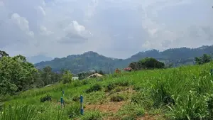 Land for Sale in Pussellawa