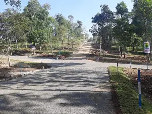 Land for Sale in Sinhargama