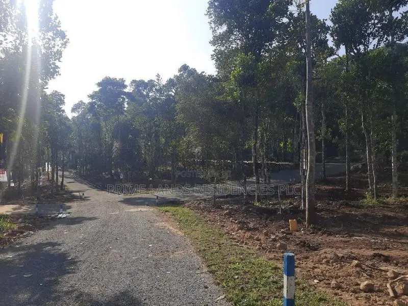 Land for Sale in Sinhargama