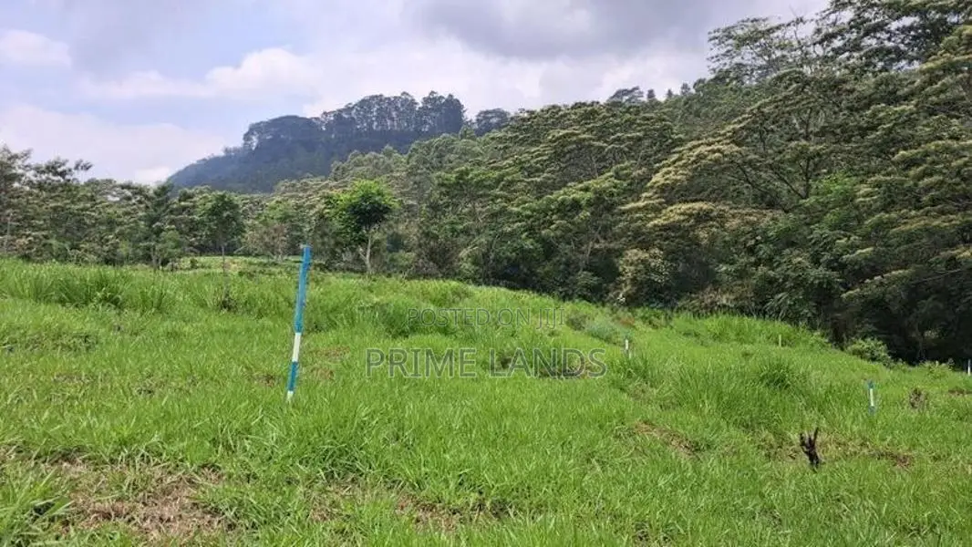 Land for Sale in Pussellawa