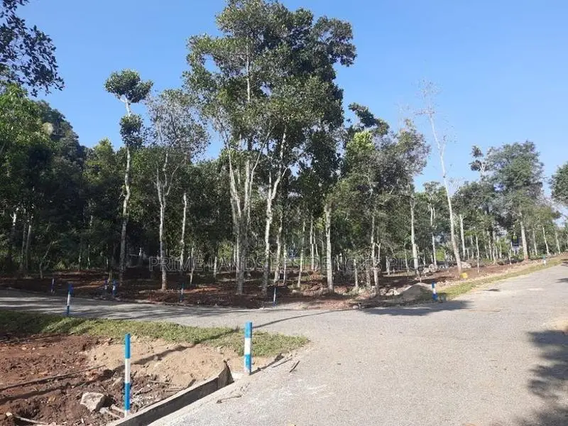 Land for Sale in Sinhargama