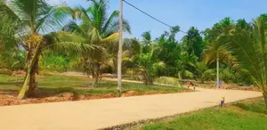 Land for Sale in Embilipitiya