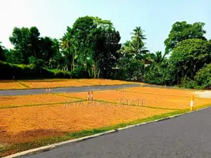 රැකවින් ඉඩමක්