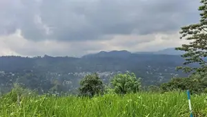 Land for Sale in Pussellawa