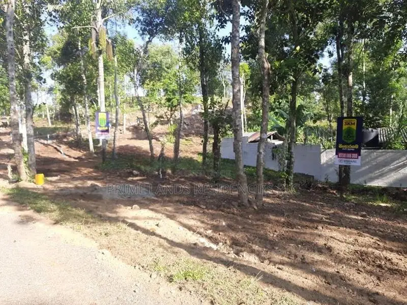 Land for Sale in Sinhargama