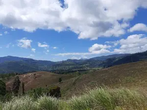 Land for Sale in Delthota