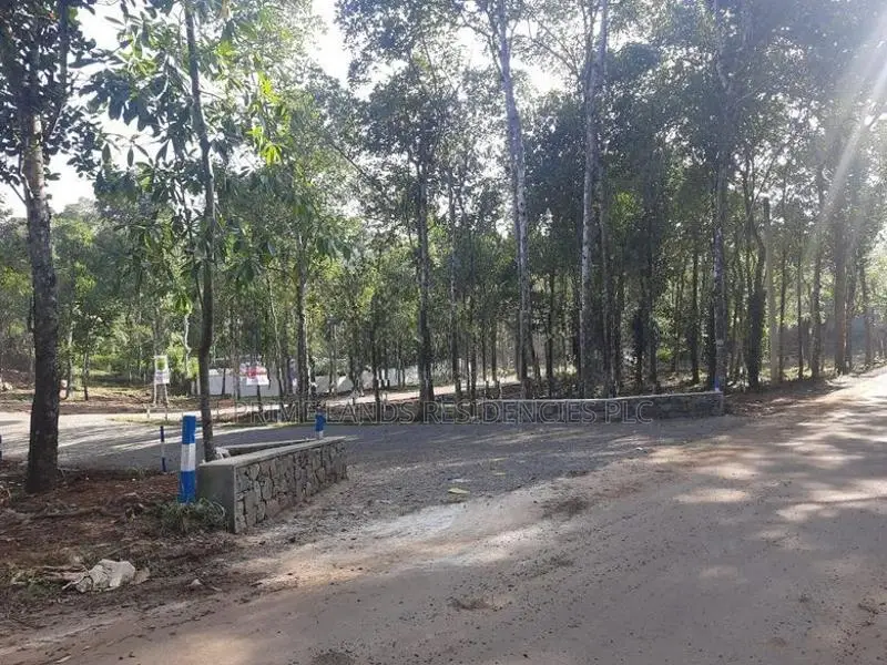 Land for Sale in Sinhargama