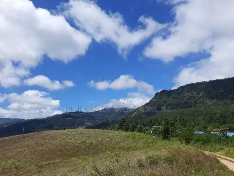 Land for Sale in Delthota